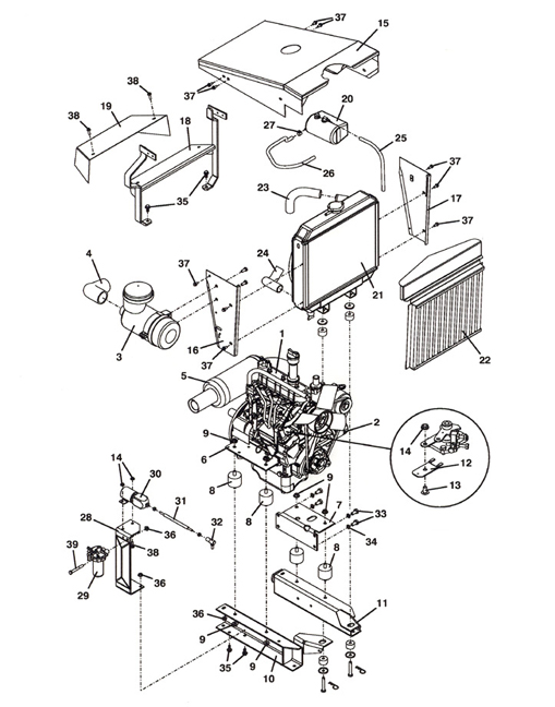 Engine Assembly