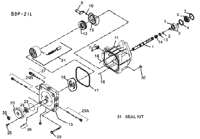 Pump Assembly